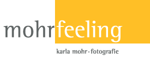 Mohr-Feeling